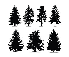 Fototapeta premium Cedar Tree Silhouette Isolated Template Set
