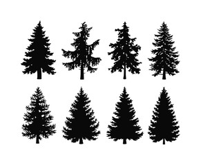 Fototapeta premium Cedar Tree Silhouette Isolated Vector Collection
