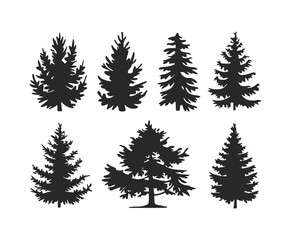 Obraz premium Editable Cedar Tree Silhouette EPS Template