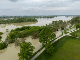 Muddy water is covering fields and trees near the overflowing Po River in Emilia Romagna, Italy, creating a desolate landscape after heavy rainfall