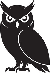 owl on white background