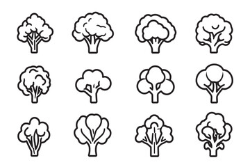 Cauliflower Icon Line Art Minimalist Set