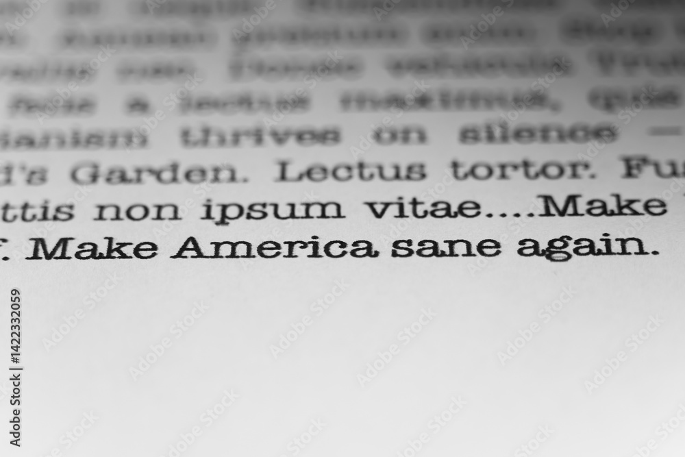 Fototapete make america sane again. text printed on a page. a piece of paper with a phrase written in retro typ