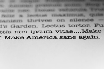 Fototapeta premium Make America sane again. Text printed on a page. A piece of paper with a phrase written in retro typewriter font.