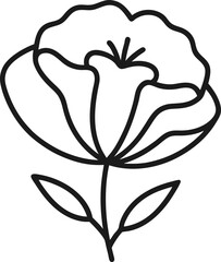 California poppy outline icon on transparent background