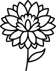 dahlia outline icon vector illustration 0n transparent background