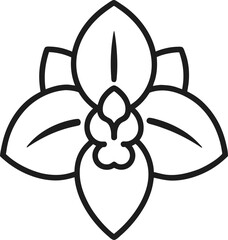 orchid line art vector