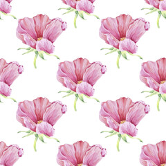 Rosehip seamless pattern watercolor illustration on white. Pink rose flower print hand drawn botanical sketch for printing wallpaper, textile, tableware, wrapping paper. Cherry blossom, apple blooming