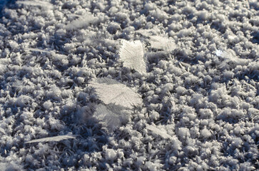 Close-up of frost snowflakes formed by sudden temperature drop