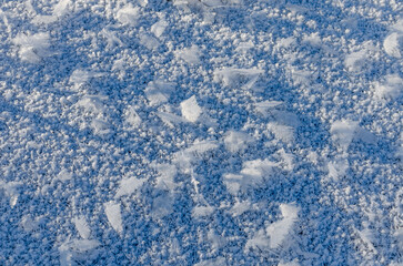 Delicate frost crystals on a cold winter day. 