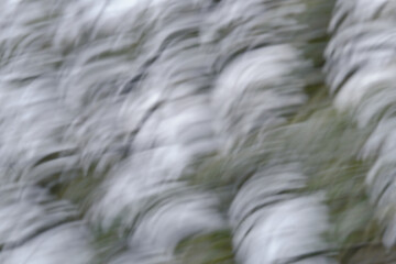 Abstract of nature using white cherry blossoms