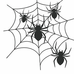 spider and web