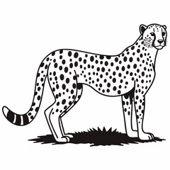 leopard vector illustration