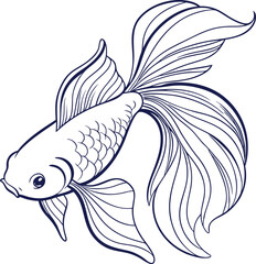 illustration of a fish