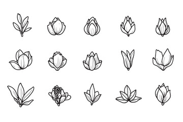 Clove Icon Simple Line Design