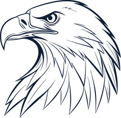 american bald eagle