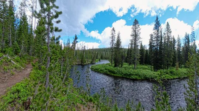 Fall River Bends Alongside Yellowstone Trail in Summer