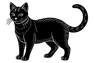 Cute Cat Cartoon Character Design Illustration vector eps format suitable for your design needs logo illustration animation etc