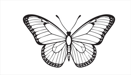 A  butterfly, a beautiful insect with delicate wings, isolated on white