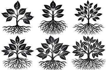 Fototapeta premium Pulse plant with roots silhouette vector illustration isolated on white background.