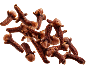 Gewürznelken fallend isoliert auf weißen Hintergrund, Freisteller 