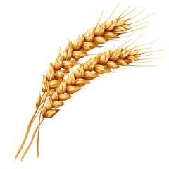 Golden wheat stalks agriculture harvest grain crop art isolated on transparent background