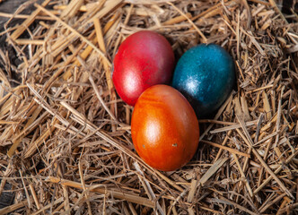 Colored eggs on straw. Top view. Nobody.