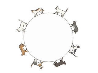 円状に歩く短毛腫猫枠