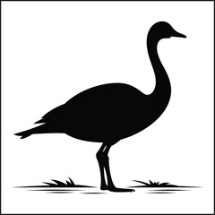 Obraz premium Silhouettes Set of Geese, Birds