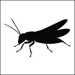 Silhouettes Set of Grasshopper, Insect
