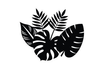 tropical leaves monstera banana leaves vector icon