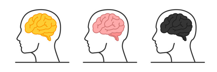 Human brain vector illustration. Anatomy of the human body