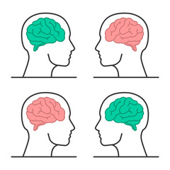 Human head with brain set. Human brain vector illustration. Anatomy of the human body