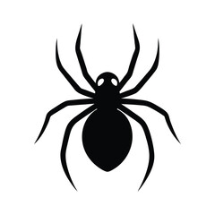 spider on a white background