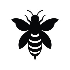 bee on white background