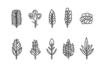 Hominy Icon Ultra Minimalist Design