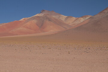 Lagoons, volcanoes and geysers in the Uyuni desert