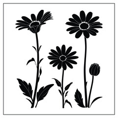 Elegant Daisy Flower Silhouette Vector on White Background

