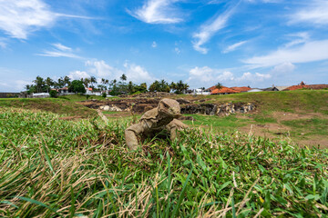 Thalagoya, Sri Lankan monitor lizard, spotted near Galle Fort—an iconic reptile tied to culture and nature.