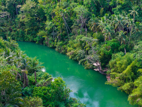 Loboc River with palm trees in Bohol island, Philippines. Aerial drone view of river popular for river cruises 