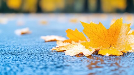 Autumn leaves on a cool surface