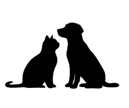 Cute dog and cat best friends