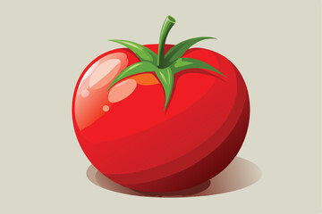 red tomato isolated vector on white