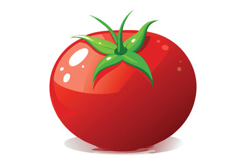 red tomato isolated vector on white