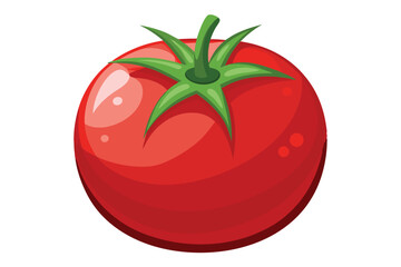 red tomato isolated vector on white