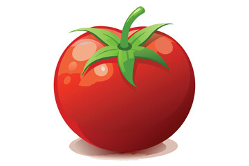 red tomato isolated vector on white