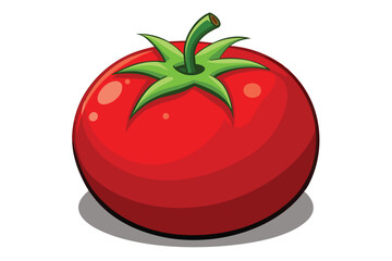 red tomato isolated vector on white