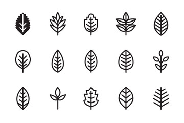 Mint Leaf Flat Herbal Icon Graphic