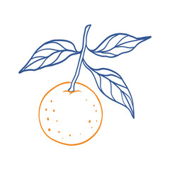 A drawing of an orange with a leaf on top. The orange is bright orange and the leaf is a deep blue color. The drawing has a playful and whimsical feel to it