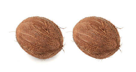 Whole coconut, one coco nut isolated, single fresh tropical palm fruit, natural milk, oil ingredient